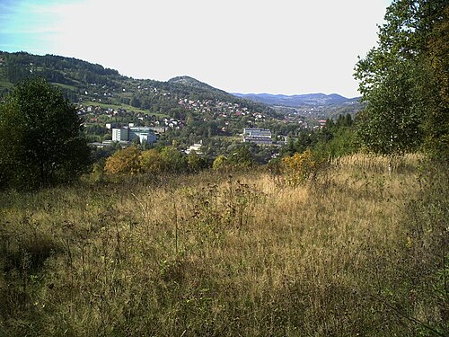 Widok ogolny.jpg