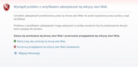 EDeklaracje IE1.jpg